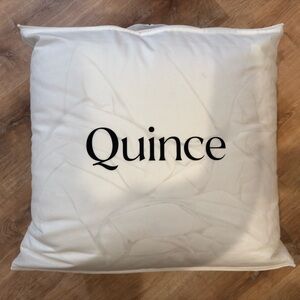 Quince luxe goose down comforter